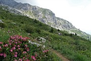 91 Sul sent. 222 (basso) del Sentiero dei fiori